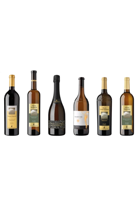 NZZ live Heida Selection